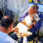 Vacinação antirrábica em Angra dos Reis começa nesta terça; confira os locais