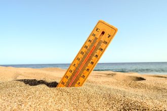 Verão 2026: veja produtos para ajudar a refrescar sua casa
