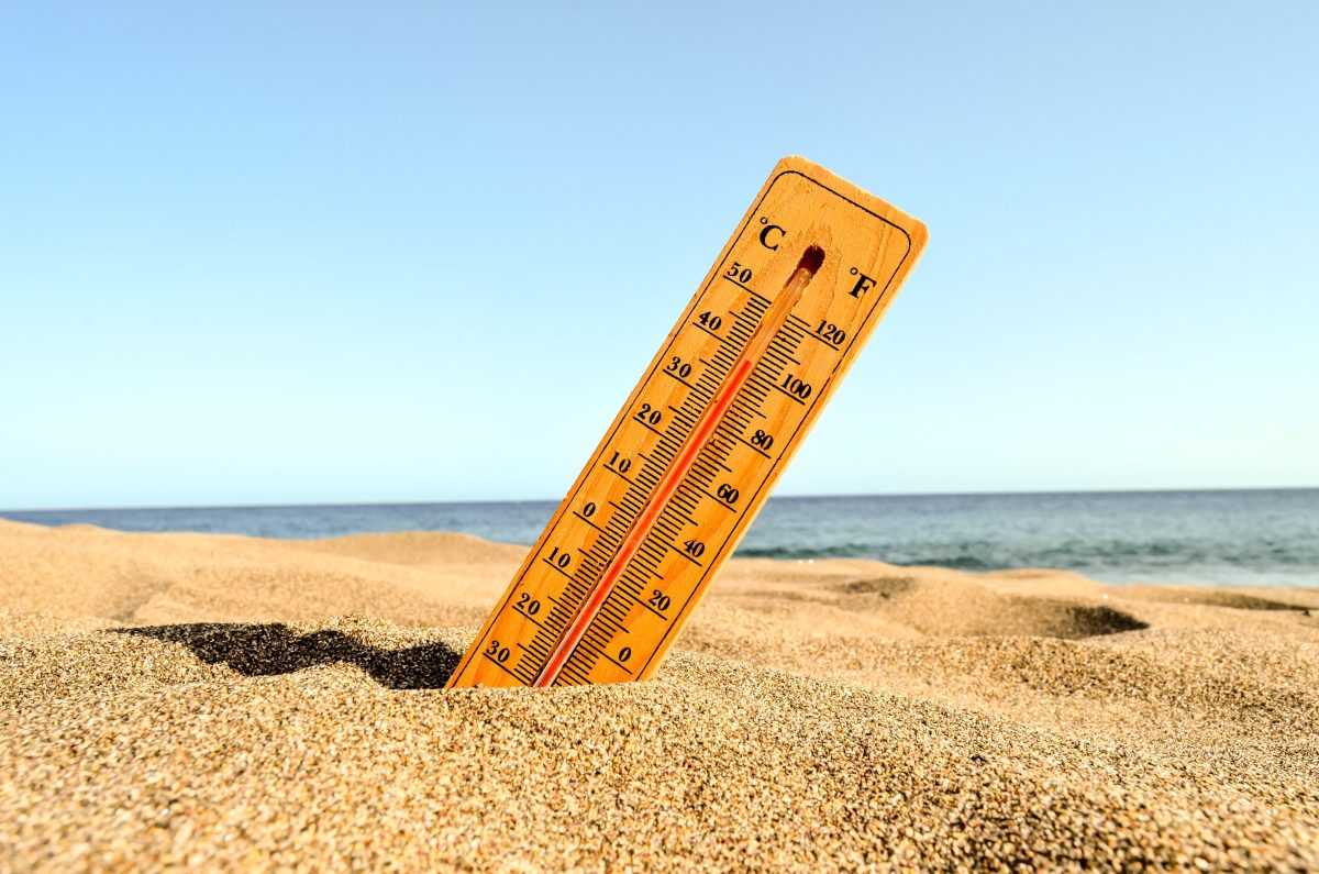 Verão 2026: veja produtos para ajudar a refrescar sua casa