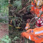 VÍDEO: Bombeiros 'escalam' potro que caiu em córrego em Ituiutaba