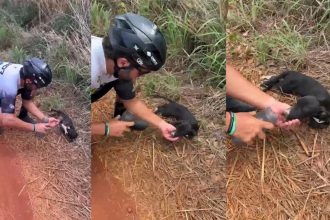 VÍDEO: Ciclista de MG dá água a cachorro abandonado sob calor de 37°C e pedala 5 km com ele no colo para encontrar novo tutor