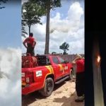 VÍDEO: fumaça saindo de castanheira chama atenção e mobiliza bombeiros no PA; especialista explica causas