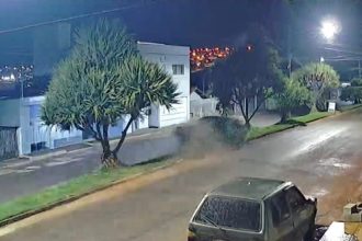 VÍDEO: Jovem fica ferido após carro desgovernado passar sobre canteiro de avenida e bater em árvore em MG