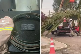 VÍDEO: Terceirizado de companhia de energia é preso por furto de cabos no Litoral Norte do RS