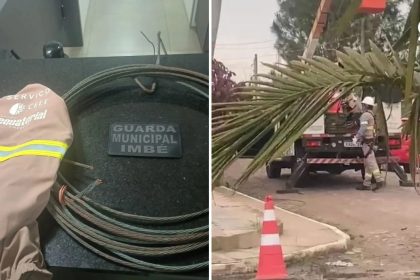 VÍDEO: Terceirizado de companhia de energia é preso por furto de cabos no Litoral Norte do RS